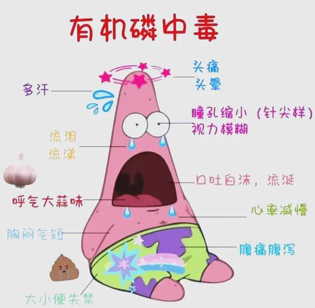 科技講堂丨有機(jī)磷類農(nóng)藥：高效廣譜的殺蟲劑